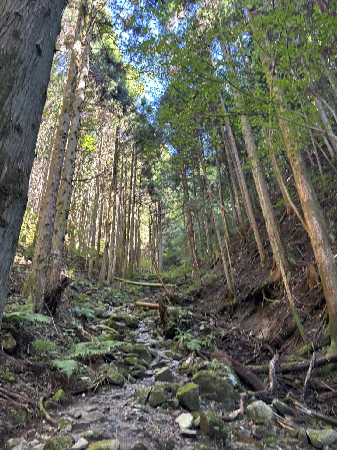 金剛山１.JPG