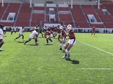 IMG_4377.jpeg