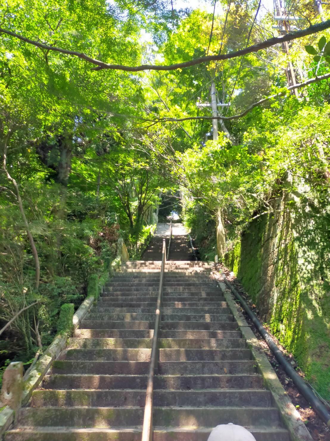 摩耶山３.JPG