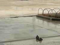 IMG_3836.jpeg