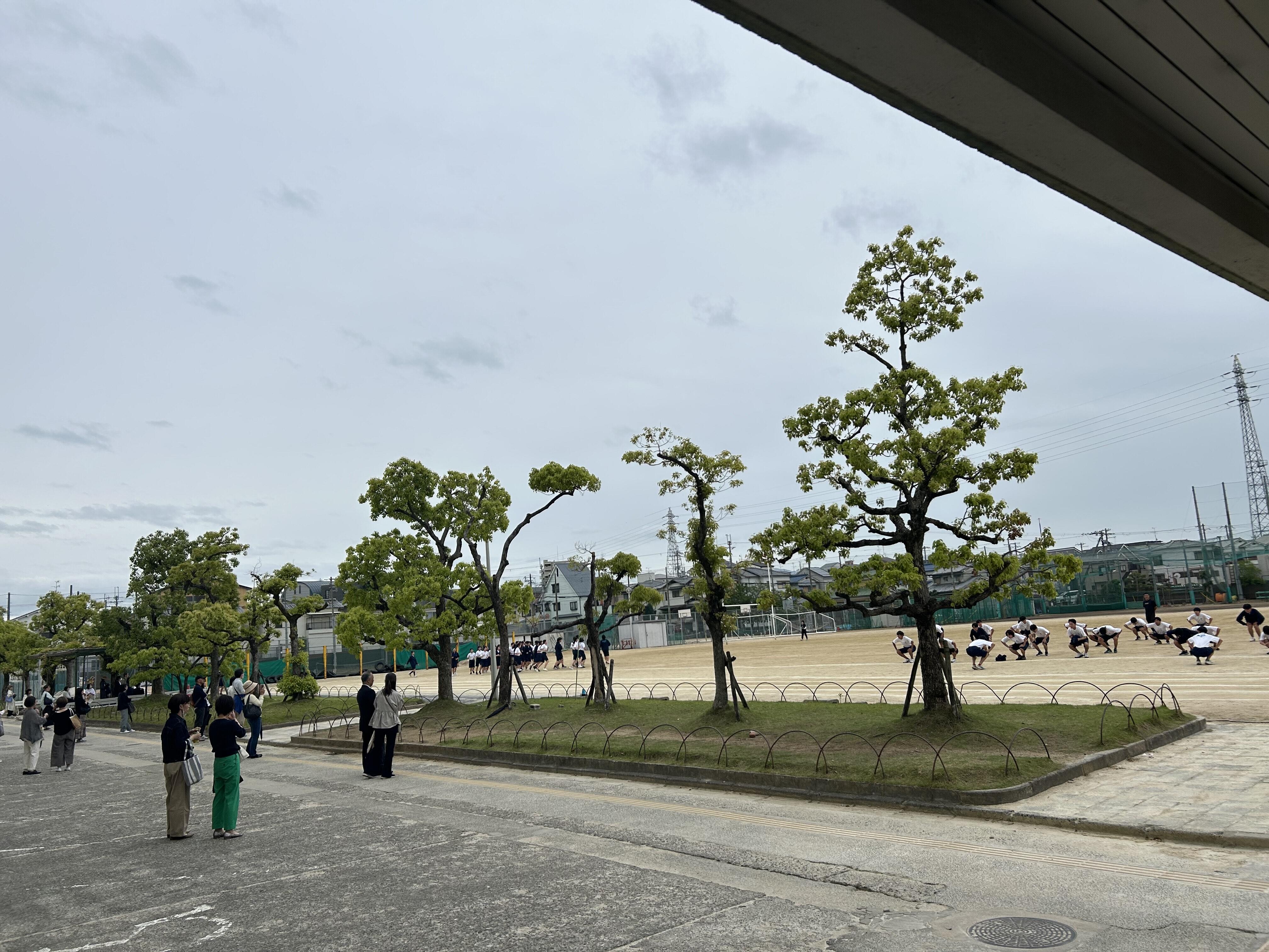 IMG_4426.jpeg