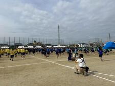 IMG_4564.jpeg