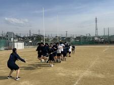 IMG_4346.jpeg