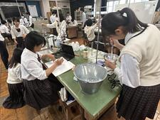 IMG_4474.jpeg