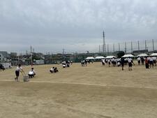 IMG_4546.jpeg