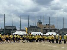 IMG_4636.jpeg