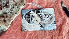 IMG_5168.jpeg