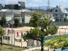 IMG_5533.jpeg