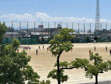 IMG_5534.jpeg