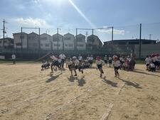 IMG_6577.jpeg