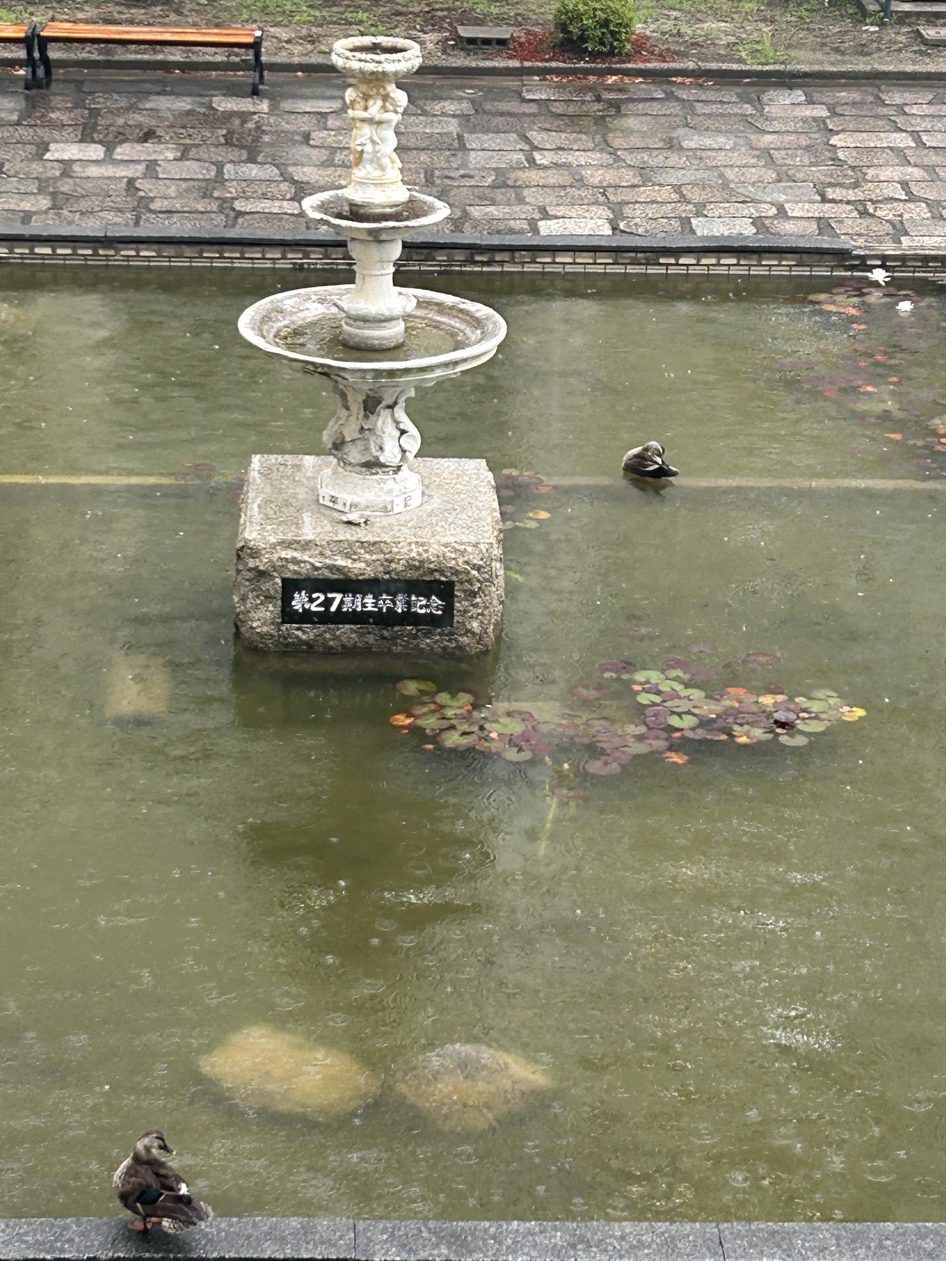 image_67197953.JPG