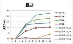 カイワレ音楽（２）.jpg