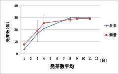 カイワレ音楽（５）.jpg