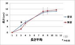 カイワレ音楽（６）.jpg