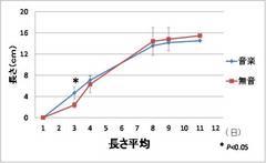 カイワレ音楽（６）.jpg