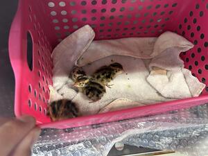 IMG_5107.jpeg