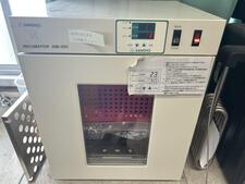 IMG_5108.jpeg