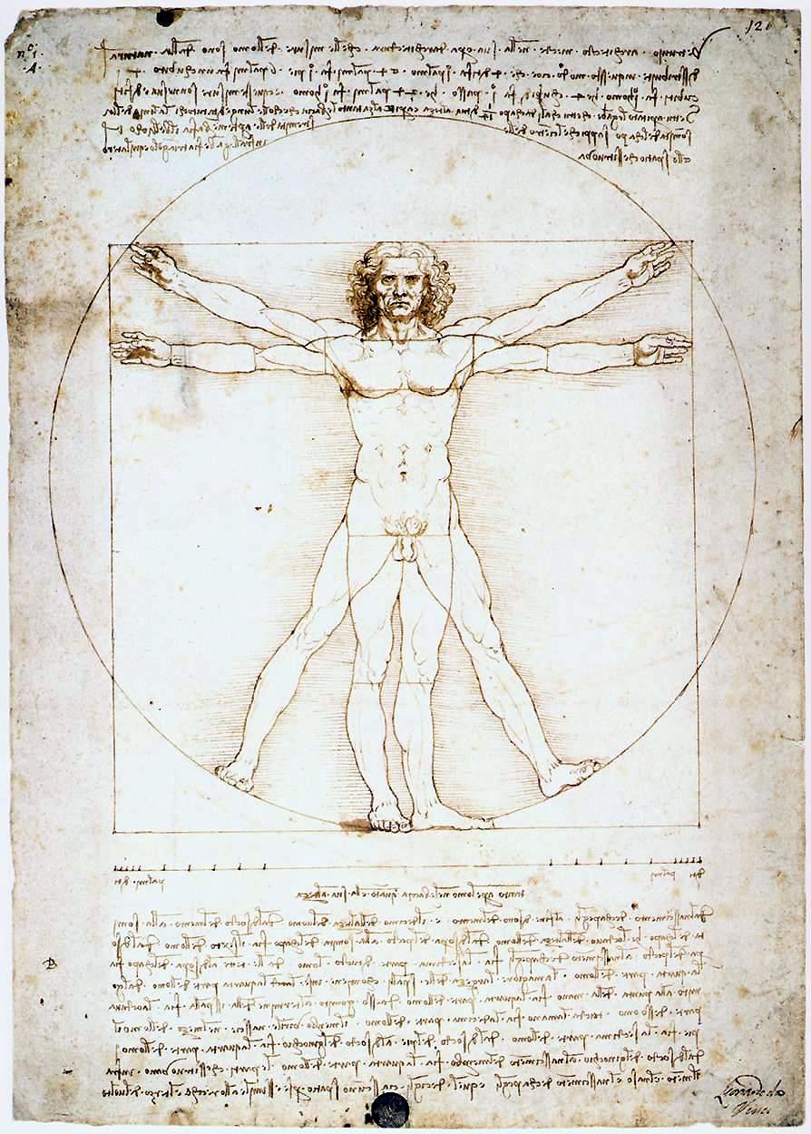 leonardo_da_vinci-_vitruvian_man-jpg.jpg