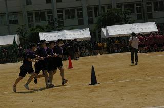 IMGP4580.jpg