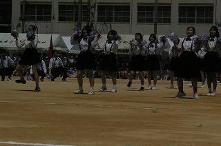 IMGP5175.jpg