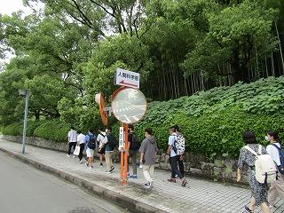 IMG_0161.jpg