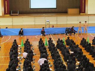 IMG_1241.jpg