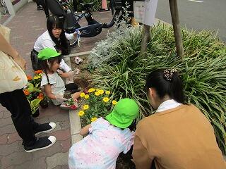 IMG_1579.jpg