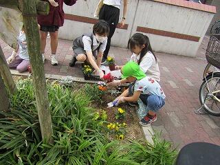 IMG_1595.jpg