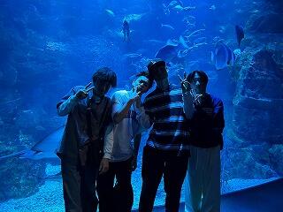 IMG_0992.jpg