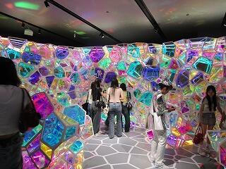 IMG_2155.jpg