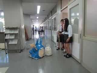 IMG_2319.jpg