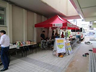 IMG_2352.jpg