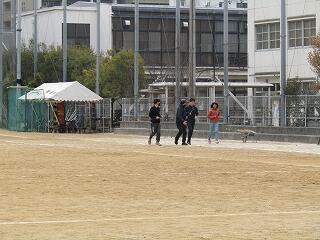IMG_2390.jpg