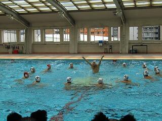 IMG_2414.jpg