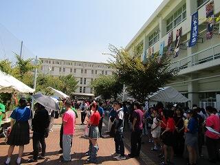 IMG_9333.jpg