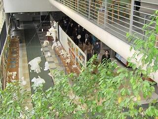 IMG_2511.jpg
