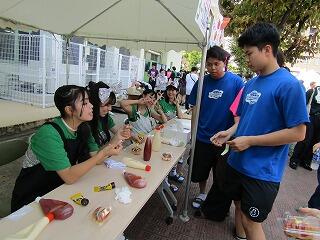 IMG_9331.jpg