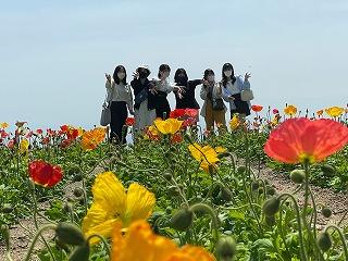 IMG_4031.jpg