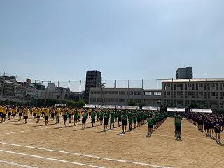 IMG_4034.jpg