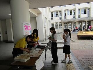 IMG_6133.jpg