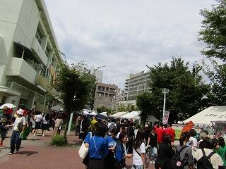 IMG_6137.jpg