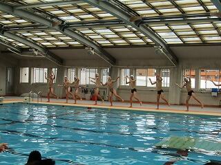 IMG_2406.jpg