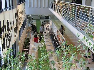 IMG_6847.jpg