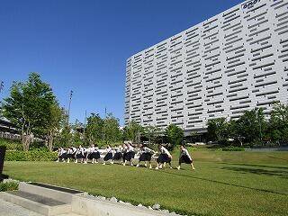 IMG_8295.jpg