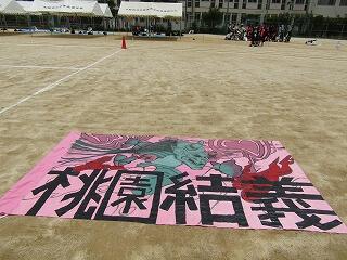 IMG_8430.jpg
