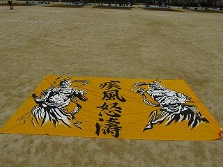 IMG_8433.jpg