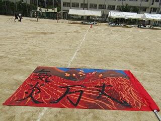 IMG_8436.jpg