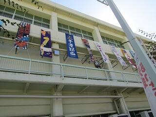 IMG_9164.jpg