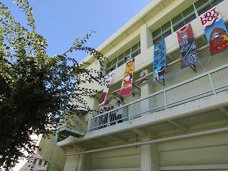 IMG_9166.jpg
