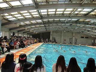 IMG_9269.jpg
